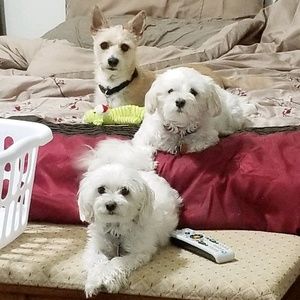 Meet your Posher, Bobbie jo